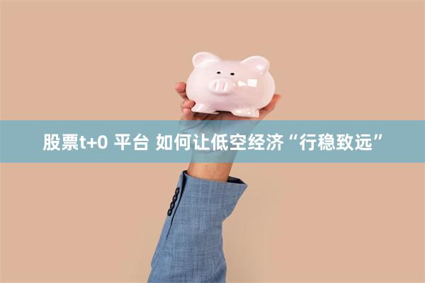 股票t+0 平台 如何让低空经济“行稳致远”