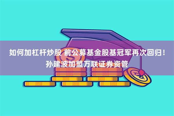 如何加杠杆炒股 前公募基金股基冠军再次回归！孙建波加盟万联证券资管
