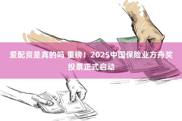 爱配资是真的吗 重磅！2025中国保险业方舟奖投票正式启动