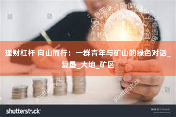 理财杠杆 向山而行：一群青年与矿山的绿色对话_复垦_大地_矿区