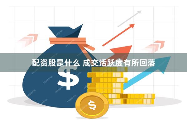 配资股是什么 成交活跃度有所回落