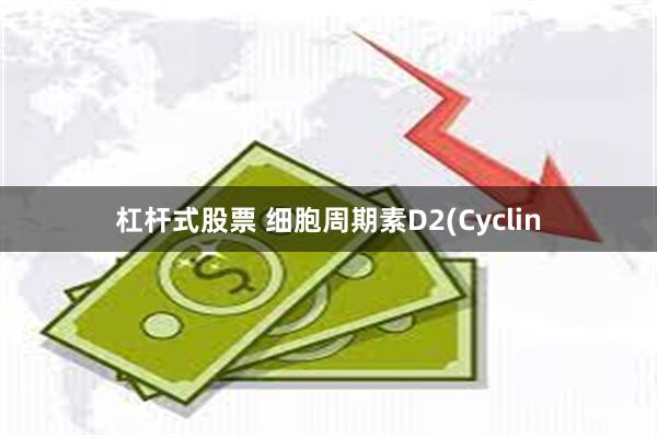 杠杆式股票 细胞周期素D2(Cyclin